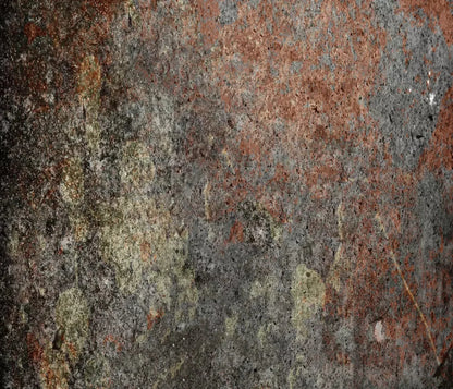 Decrepit 12X10 Ultracloth ( 144 X 120 Inch ) Backdrop