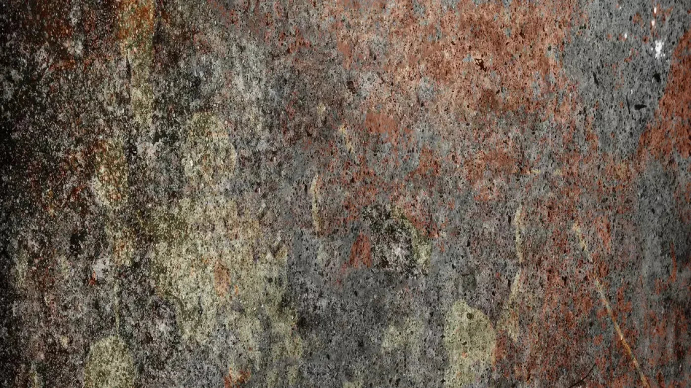 Decrepit 14X8 Ultracloth ( 168 X 96 Inch ) Backdrop