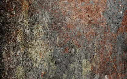 Decrepit 14X9 Ultracloth ( 168 X 108 Inch ) Backdrop