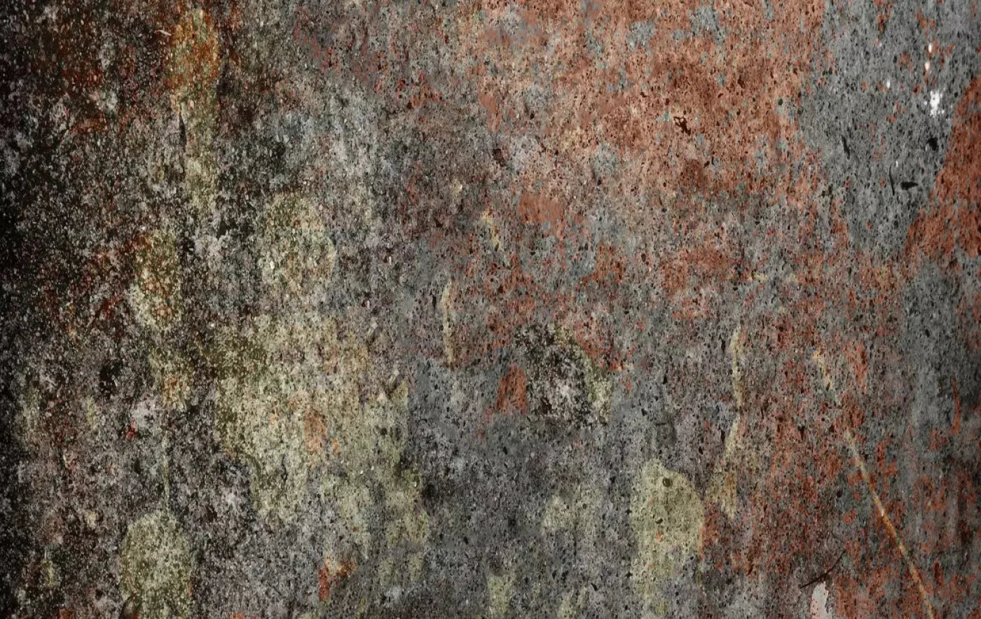 Decrepit 16X10 Ultracloth ( 192 X 120 Inch ) Backdrop