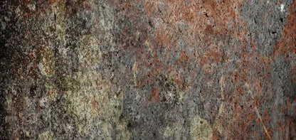 Decrepit 16X8 Ultracloth ( 192 X 96 Inch ) Backdrop