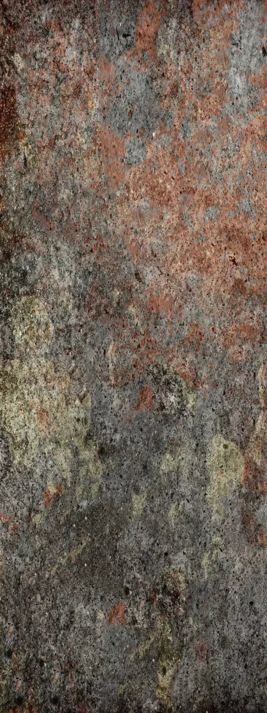 Decrepit 8X20 Ultracloth ( 96 X 240 Inch ) Backdrop