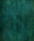 Green Classic and Masters Backdrop for Photography