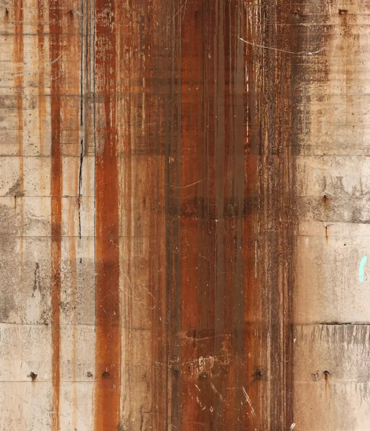 Defeat 10’X12’ Ultracloth (120 X 144 Inch) Backdrop