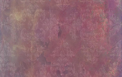 Delaney 16X10 Ultracloth ( 192 X 120 Inch ) Backdrop