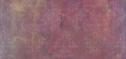 Delaney 16X8 Ultracloth ( 192 X 96 Inch ) Backdrop