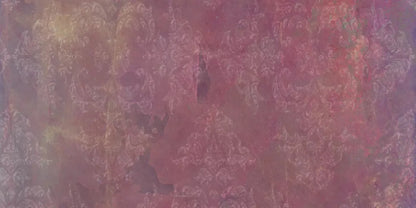 Delaney 20X10 Ultracloth ( 240 X 120 Inch ) Backdrop