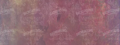 Delaney 20X8 Ultracloth ( 240 X 96 Inch ) Backdrop