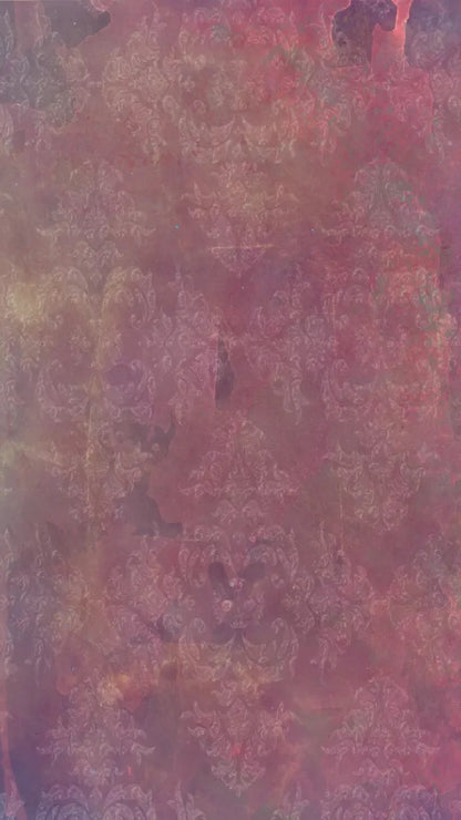Delaney 8X14 Ultracloth ( 96 X 168 Inch ) Backdrop