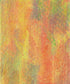 Orange Textured Backdrop for Photography