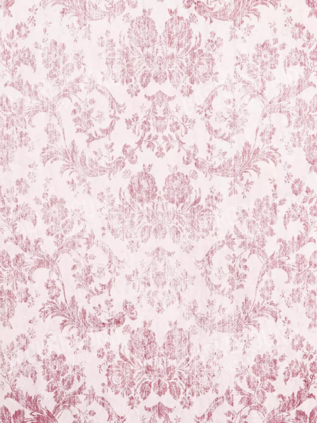 Delia 5X7 Ultracloth ( 60 X 84 Inch ) Backdrop