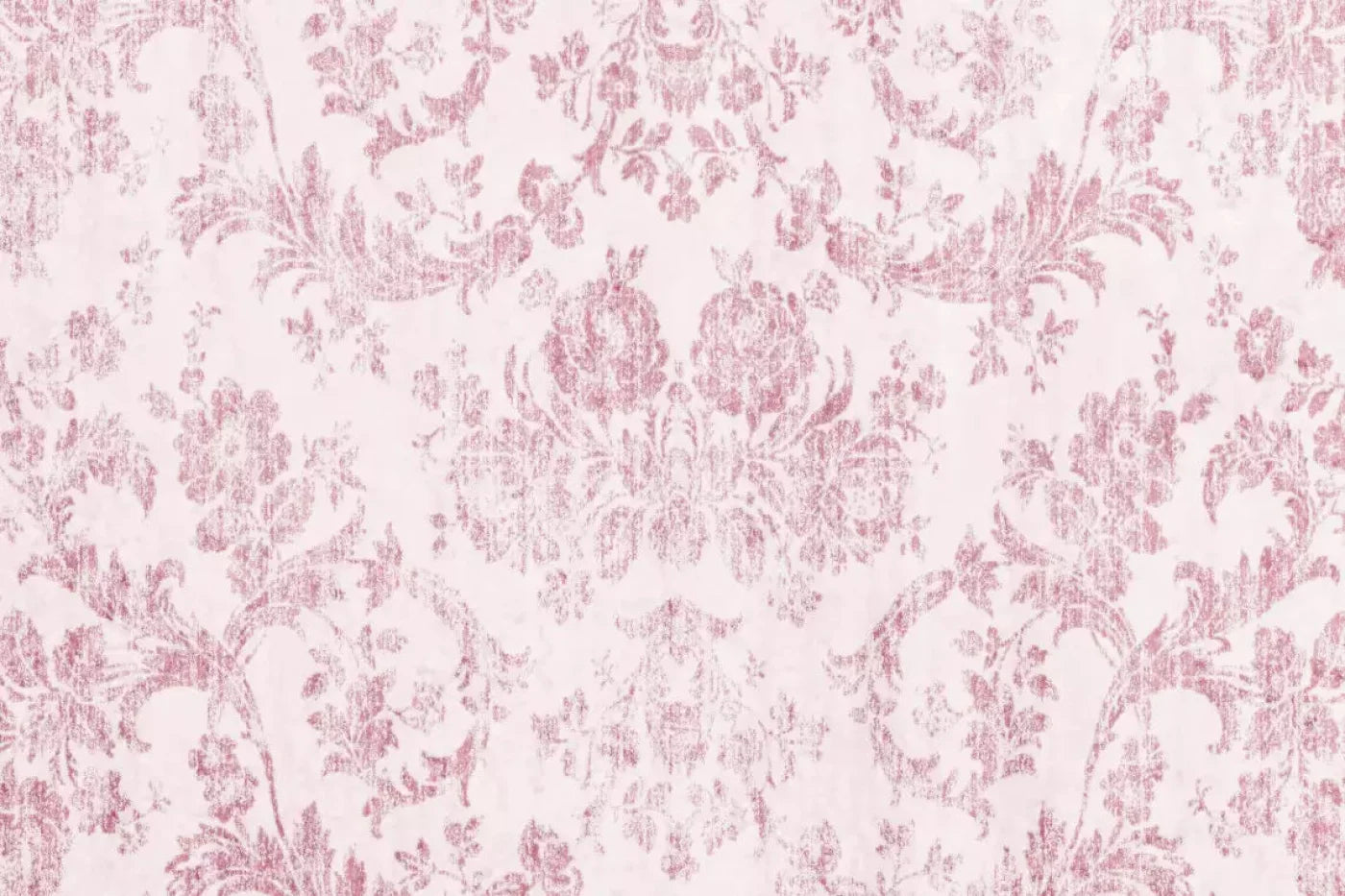 Delia Backdrop