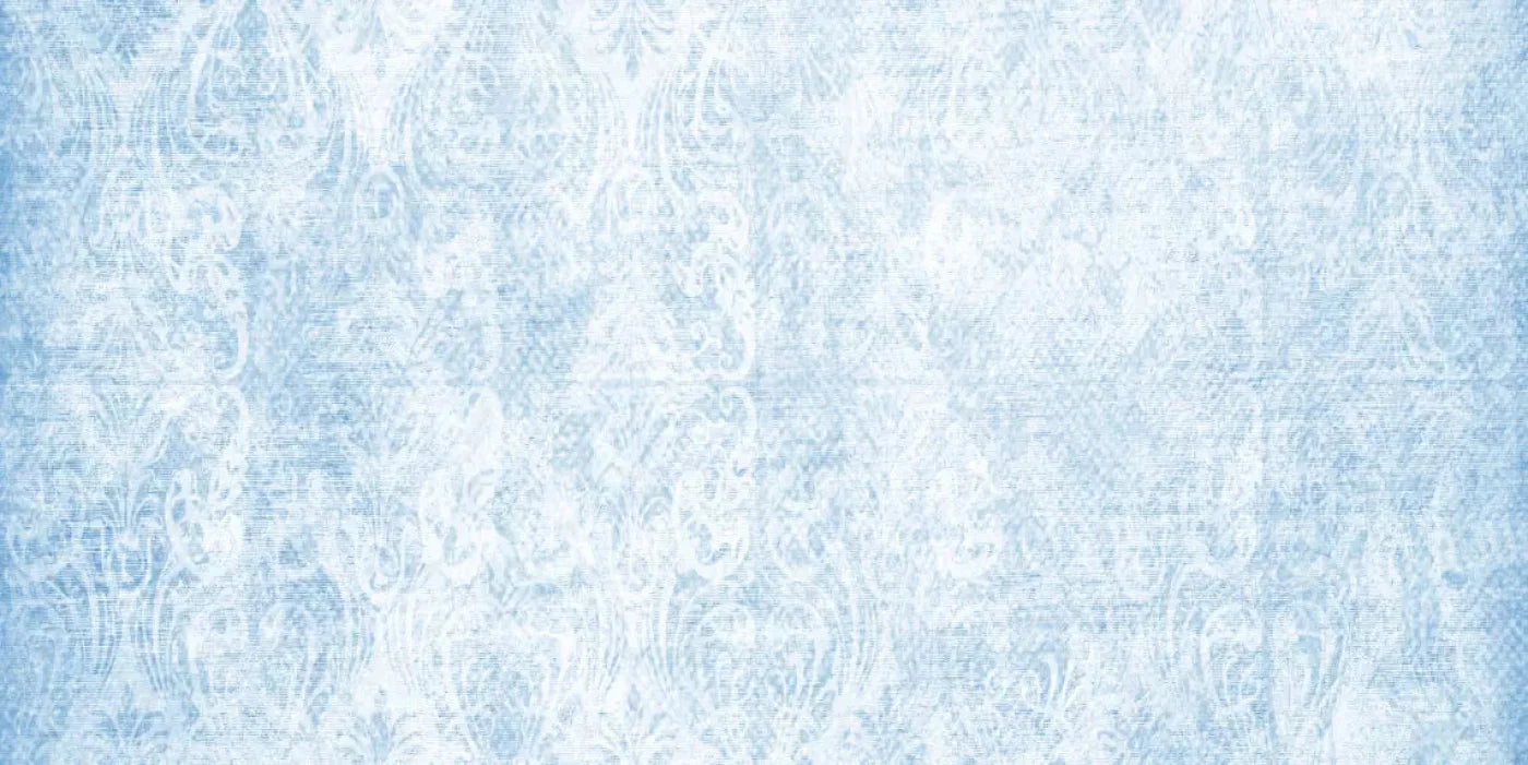 Delicate 20X10 Ultracloth ( 240 X 120 Inch ) Backdrop