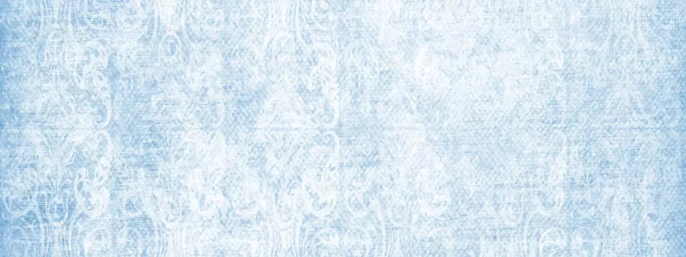 Delicate 20X8 Ultracloth ( 240 X 96 Inch ) Backdrop