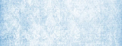 Delicate 20X8 Ultracloth ( 240 X 96 Inch ) Backdrop