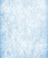 Blue Damask Backdrop for Photography