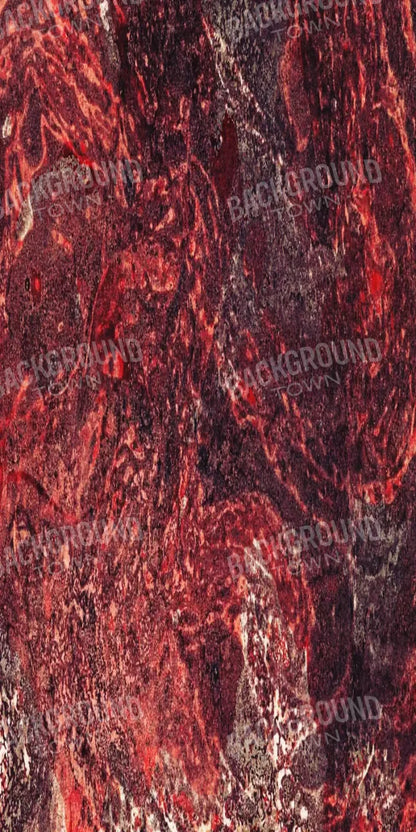 Delinquent 10X20 Ultracloth ( 120 X 240 Inch ) Backdrop