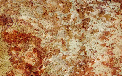 Delusion 14X9 Ultracloth ( 168 X 108 Inch ) Backdrop