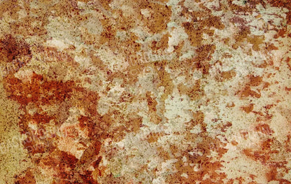 Delusion 16X10 Ultracloth ( 192 X 120 Inch ) Backdrop