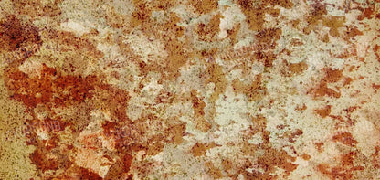 Delusion 16X8 Ultracloth ( 192 X 96 Inch ) Backdrop