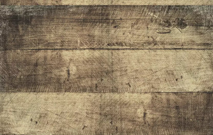 Denny 16’X10’ Ultracloth (192 X 120 Inch) Backdrop