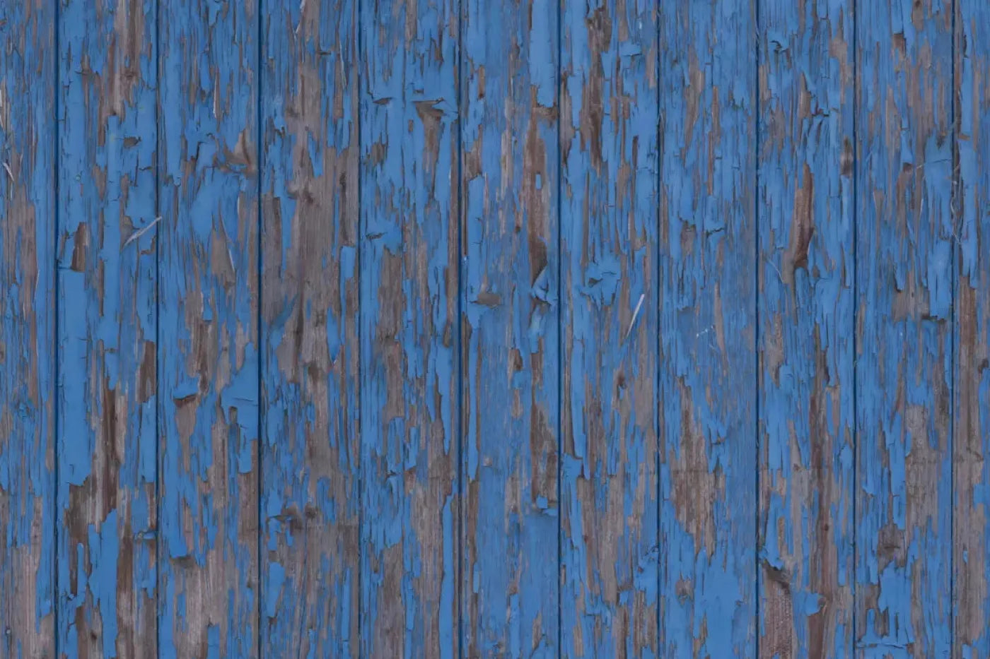 Derek Backdrop