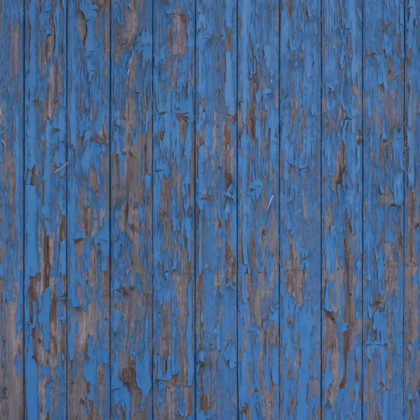 Derek Backdrop