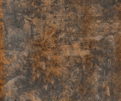 Desert Dream 5X42 Fleece ( 60 X 50 Inch ) Backdrop