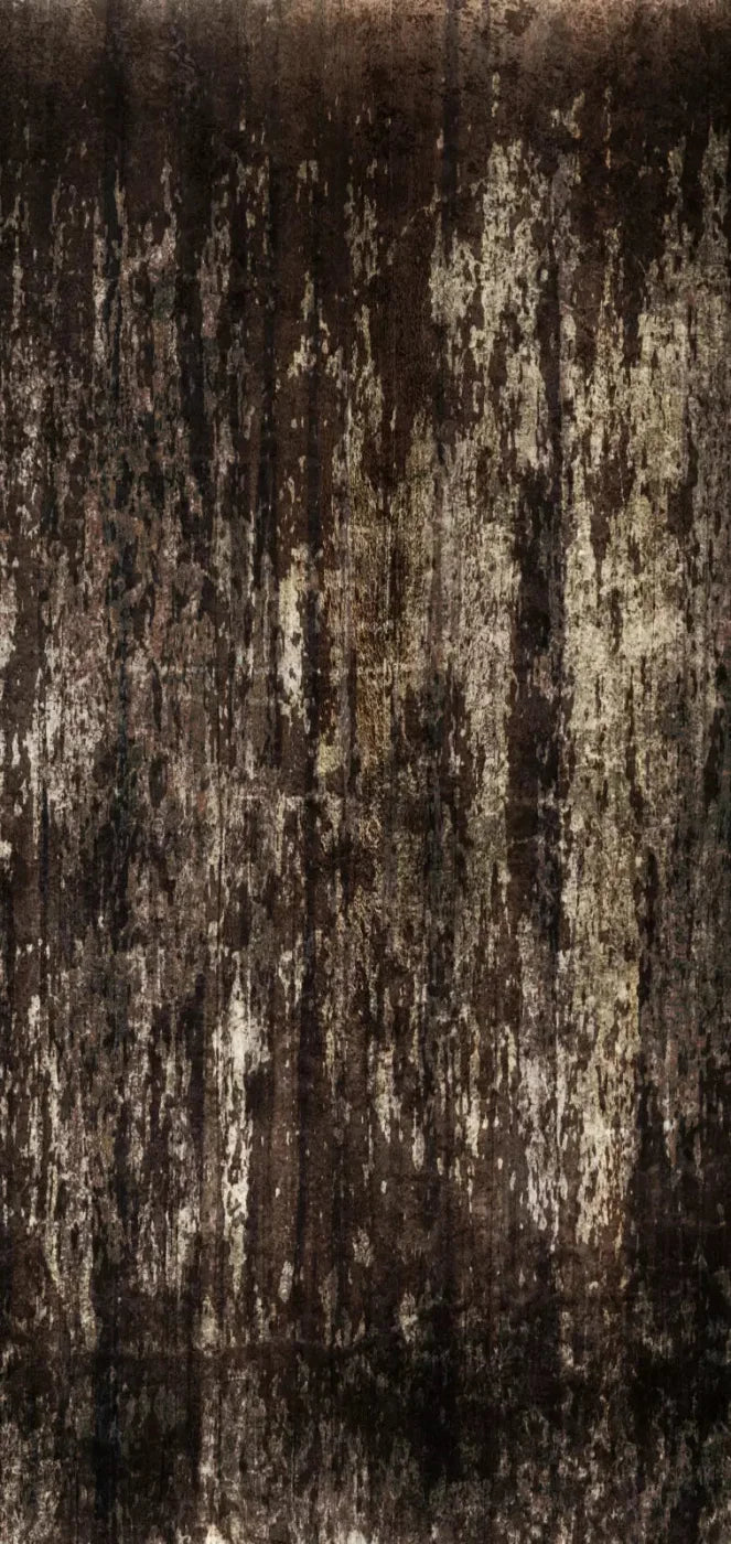 Desolate 8X16 Ultracloth ( 96 X 192 Inch ) Backdrop