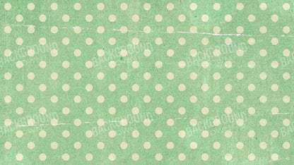 Devlin 14X8 Ultracloth ( 168 X 96 Inch ) Backdrop