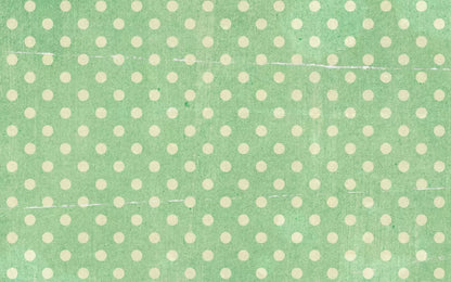 Devlin 14X9 Ultracloth ( 168 X 108 Inch ) Backdrop
