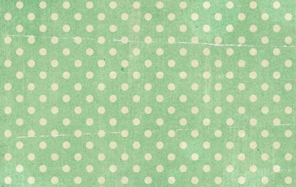 Devlin 16X10 Ultracloth ( 192 X 120 Inch ) Backdrop