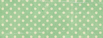 Devlin 20X8 Ultracloth ( 240 X 96 Inch ) Backdrop