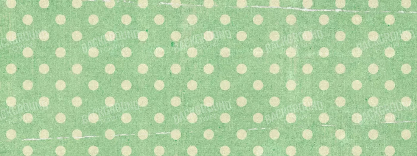 Devlin 20X8 Ultracloth ( 240 X 96 Inch ) Backdrop