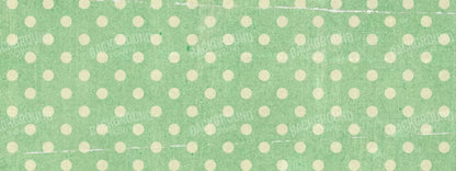 Devlin 20X8 Ultracloth ( 240 X 96 Inch ) Backdrop