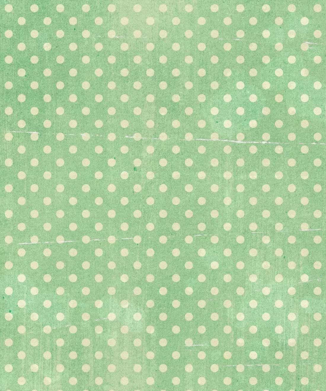 Green Pattern Backdrop for Photography
