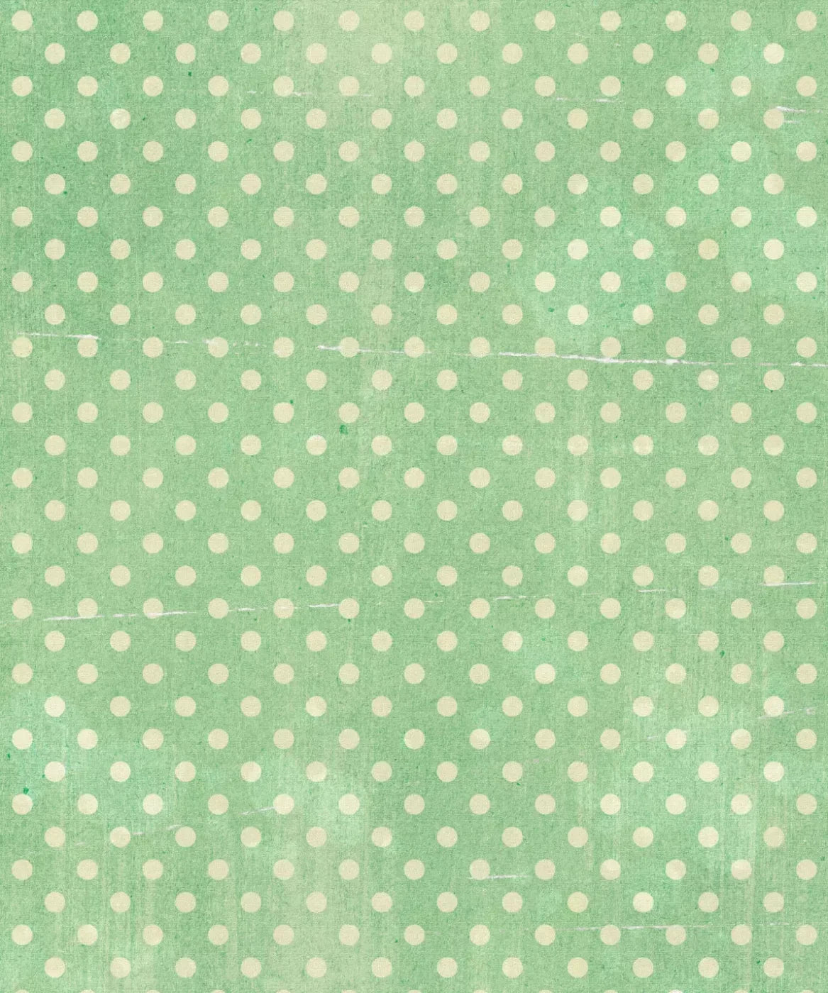 Green Pattern Backdrop for Photography