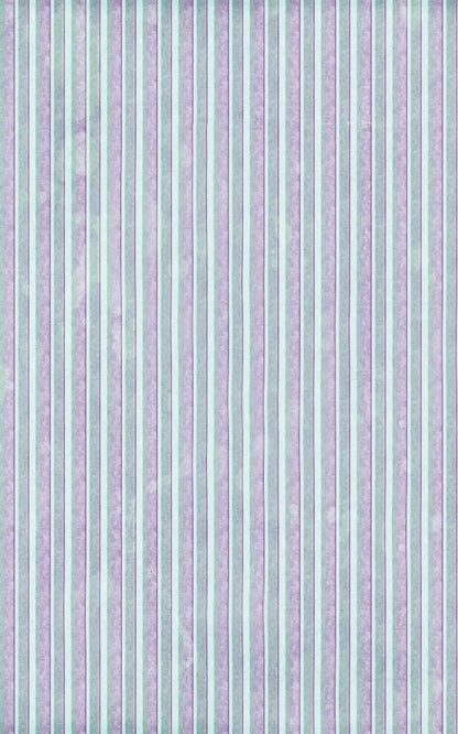Devon 9X14 Ultracloth ( 108 X 168 Inch ) Backdrop