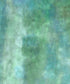 Green Classic and Masters Backdrop for Photography