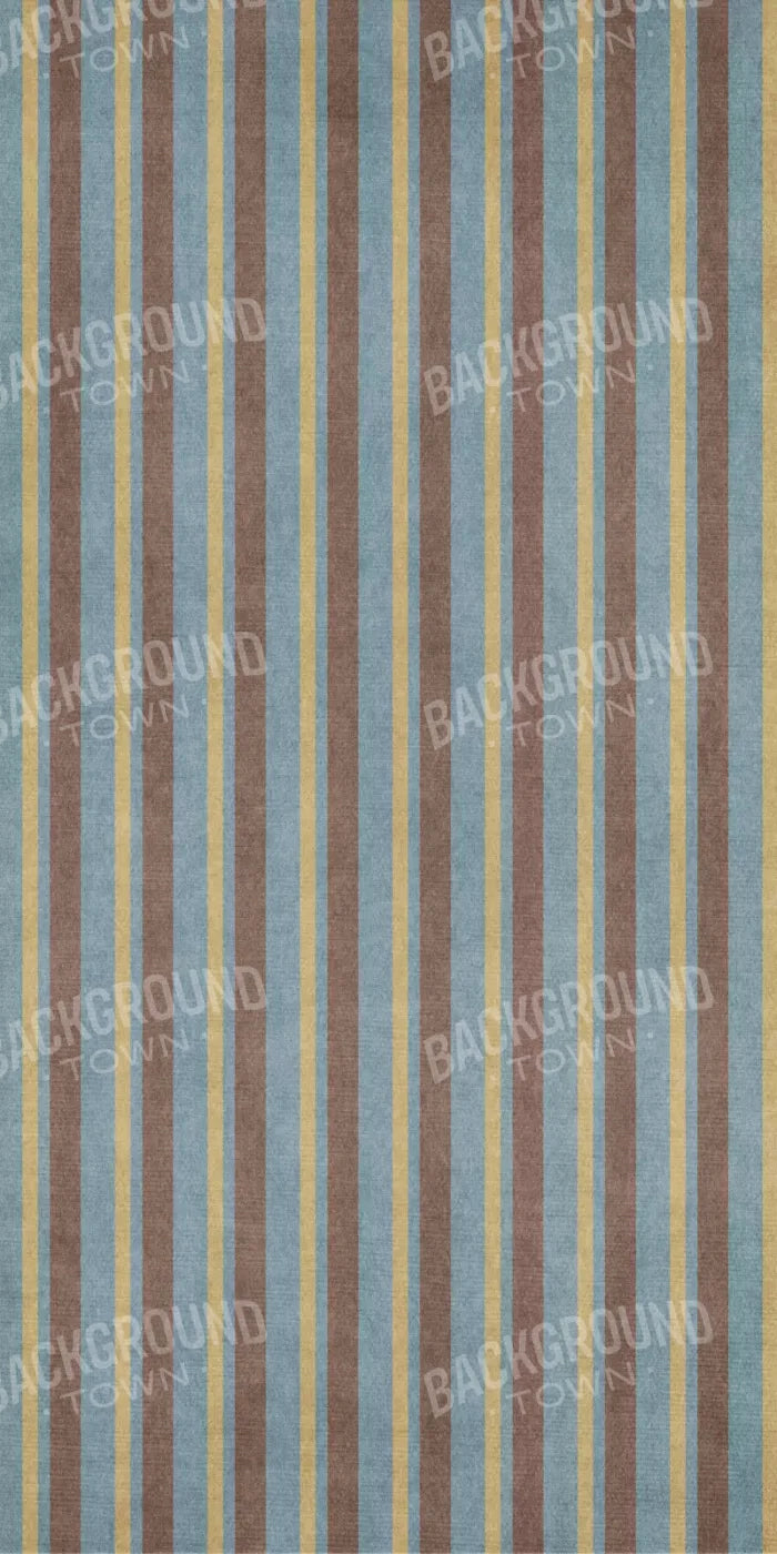 Diego 10X20 Ultracloth ( 120 X 240 Inch ) Backdrop