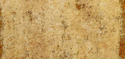 Dijon 16X8 Ultracloth ( 192 X 96 Inch ) Backdrop