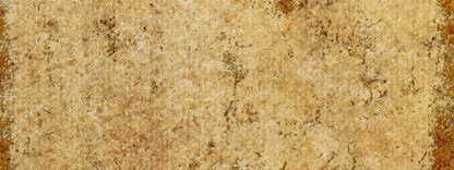 Dijon 20X8 Ultracloth ( 240 X 96 Inch ) Backdrop