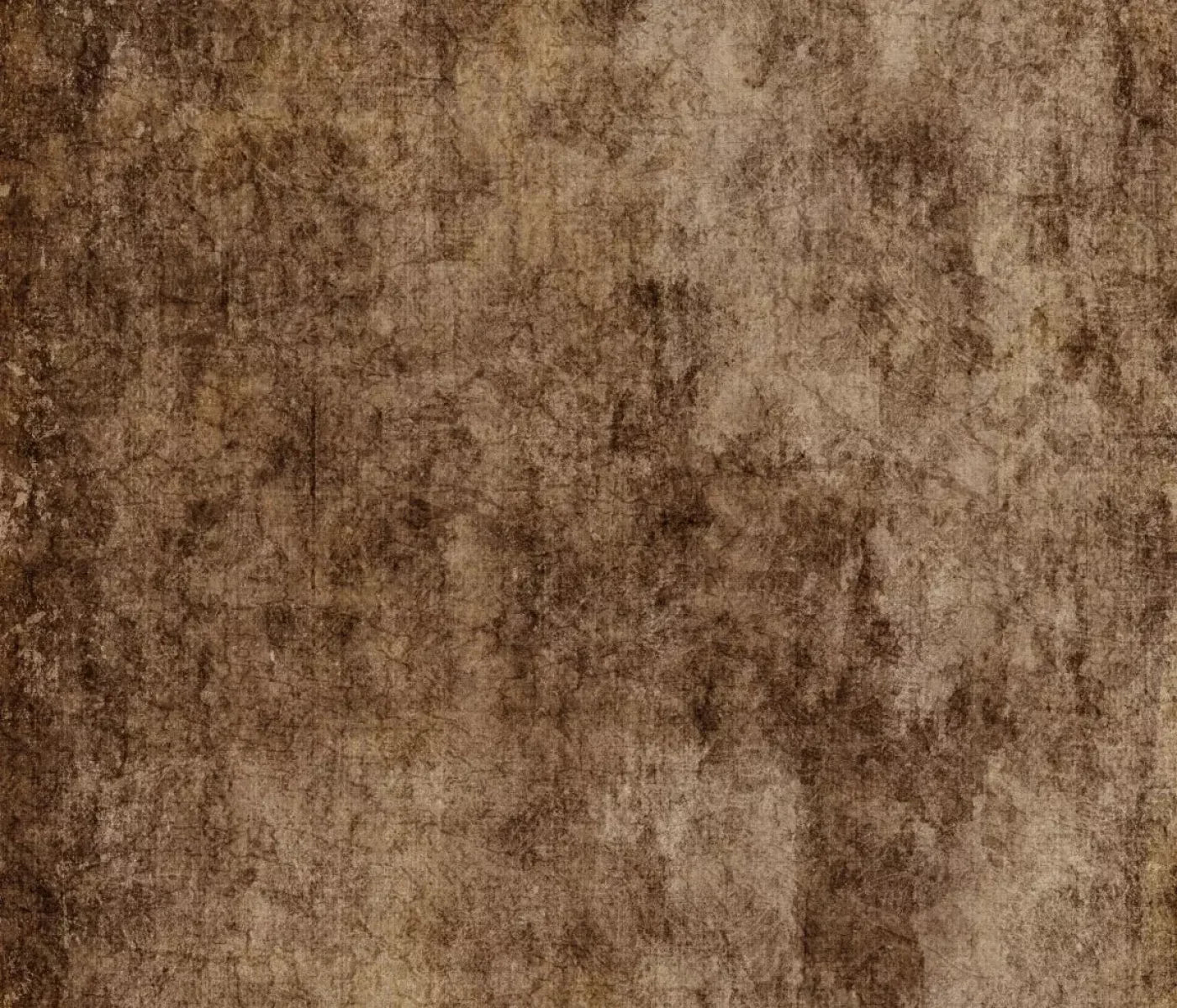 Dingy 12X10 Ultracloth ( 144 X 120 Inch ) Backdrop