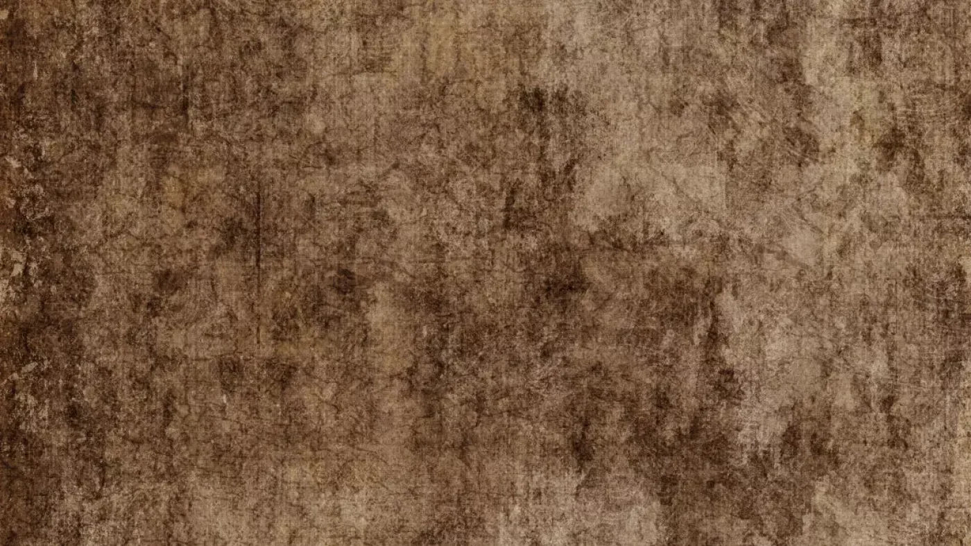Dingy 14X8 Ultracloth ( 168 X 96 Inch ) Backdrop