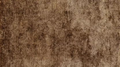 Dingy 14X8 Ultracloth ( 168 X 96 Inch ) Backdrop