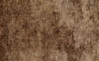 Dingy 14X9 Ultracloth ( 168 X 108 Inch ) Backdrop