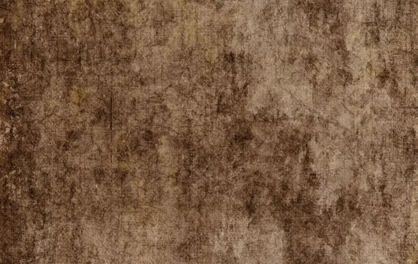 Dingy 16X10 Ultracloth ( 192 X 120 Inch ) Backdrop