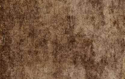 Dingy 16X10 Ultracloth ( 192 X 120 Inch ) Backdrop