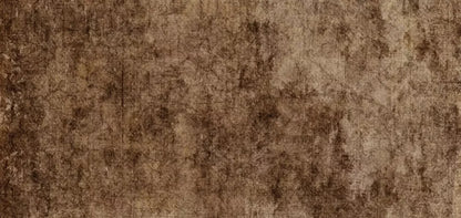 Dingy 16X8 Ultracloth ( 192 X 96 Inch ) Backdrop
