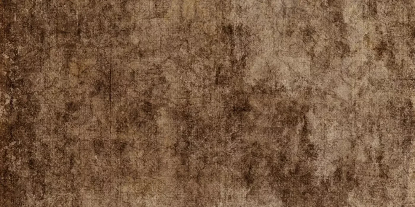 Dingy 20X10 Ultracloth ( 240 X 120 Inch ) Backdrop